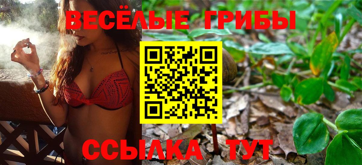 Галлюциногенные грибы мухоморы Череповец