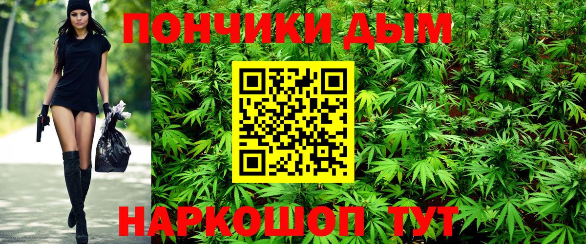 Конопля гибрид Череповец
